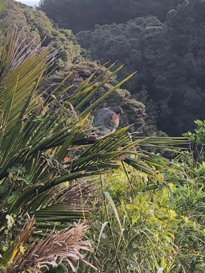 Muriwai Lodge Exterior photo